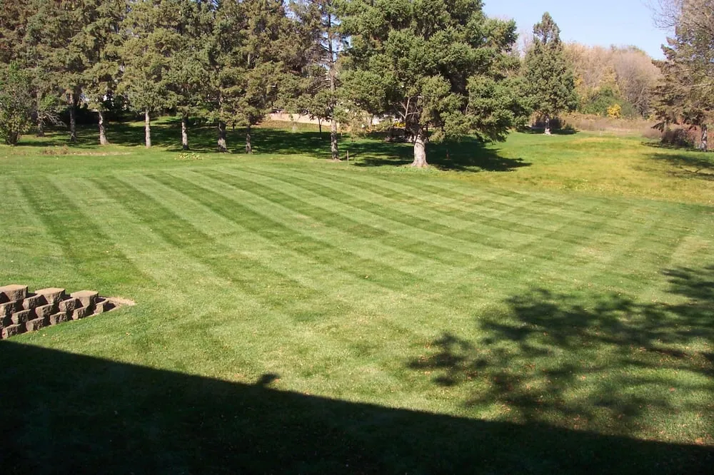 Affordable yard maintenance in Eagan, MN by Dakota Landscaping