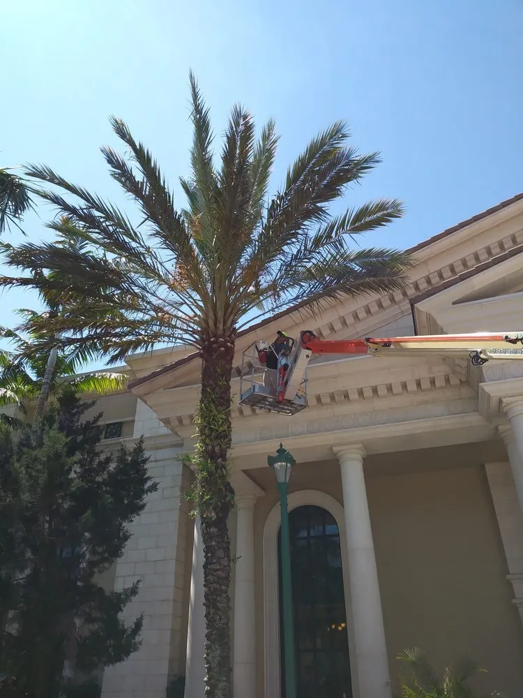 Local yard maintenance for year-round maintenance in Stuart, FL by Dakota Landscaping