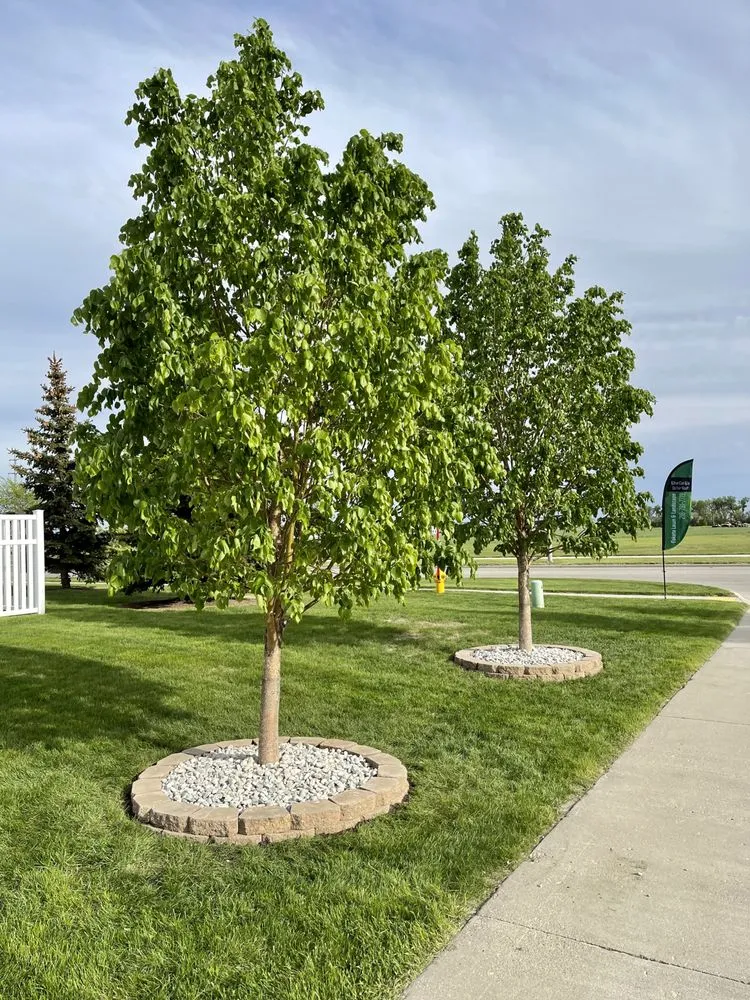 Top-rated yard cleanup service in Grand Forks, ND by Dakota Lawn & Landscape