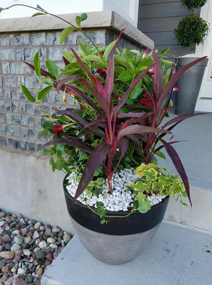 Top-rated landscape installation in Sioux Falls, SD - Dakota Maintenance