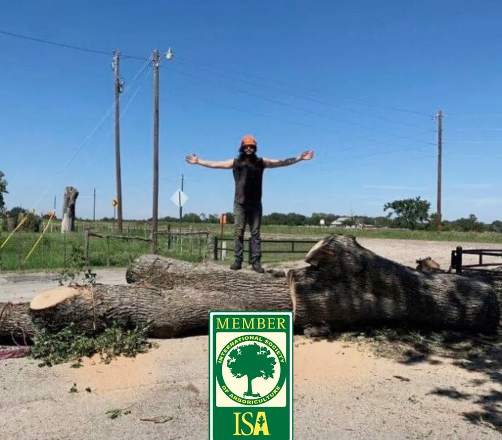 Custom lawn care service for homes across Waxahachie, TX - Dakota Tree and Land Management