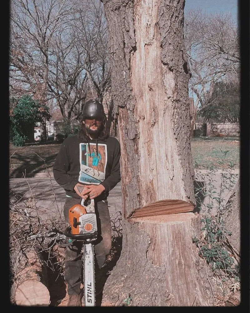 Local garden landscaping for year-round maintenance across Waxahachie, TX - Dakota Tree and Land Management
