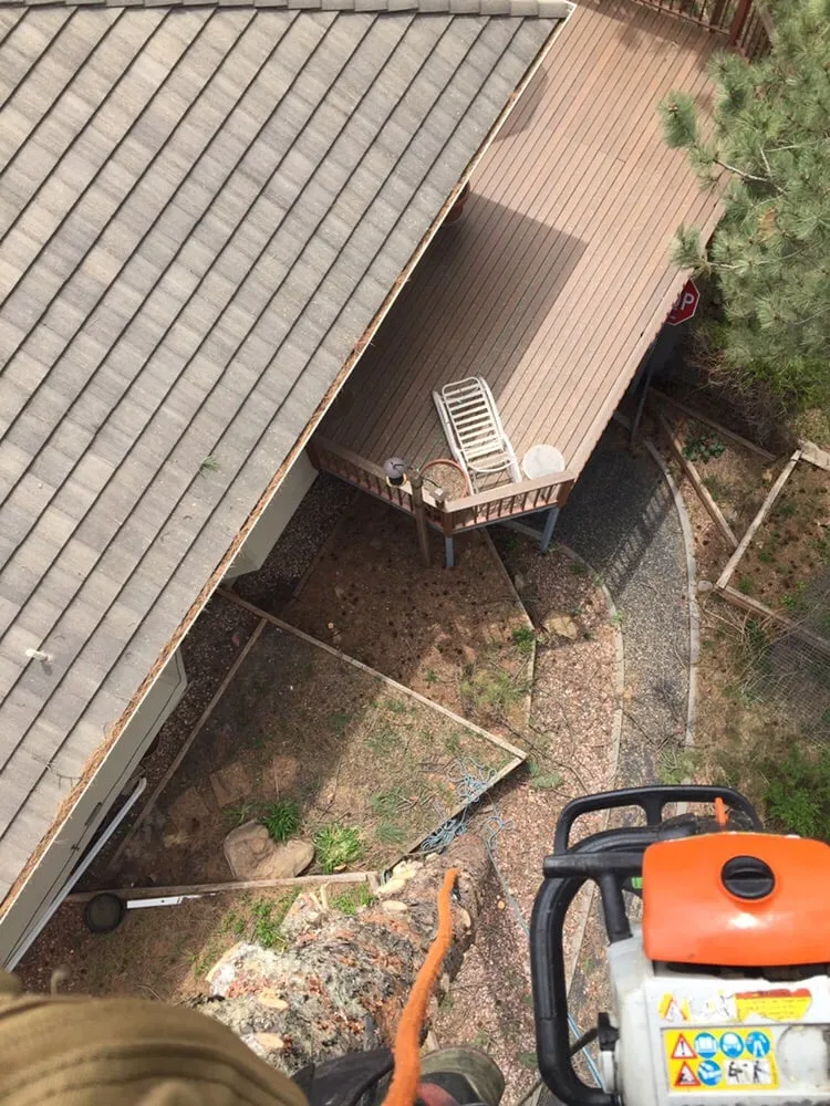 Top-rated lawn mowing service in Rapid City, SD by Dakota Tree Surgeon