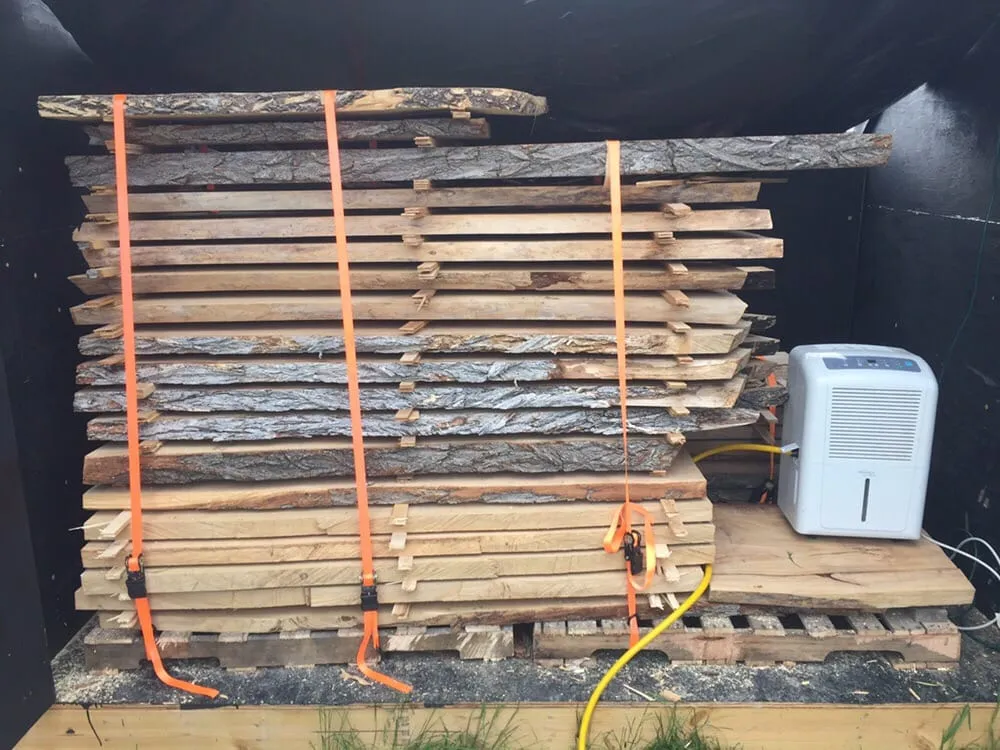 Reliable landscaping services in Rapid City, SD by Dakota Tree Surgeon