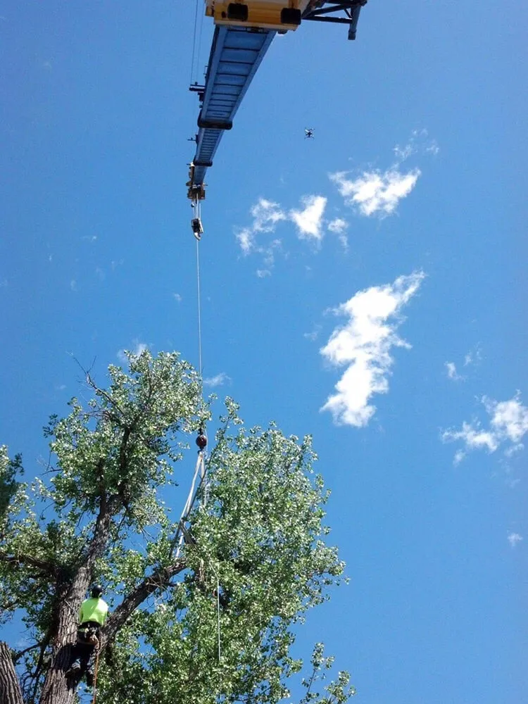 Custom residential landscaping for residential properties across Rapid City, SD - Dakota Tree Surgeon