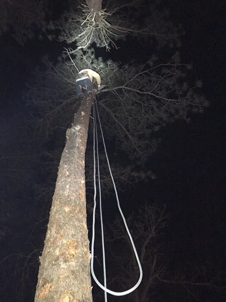 Professional residential landscaping in Rapid City, SD by Dakota Tree Surgeon