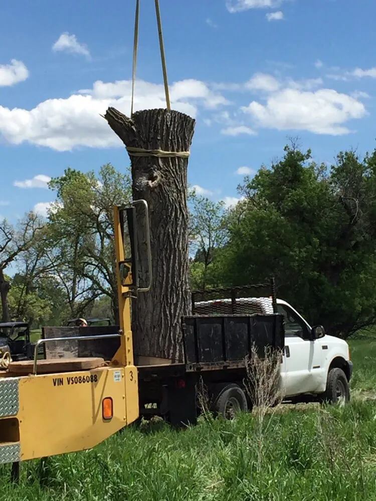 Custom landscaping services in Rapid City, SD by Dakota Tree Surgeon
