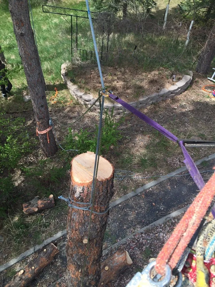 Top-rated lawn care service for residential properties across Rapid City, SD - Dakota Tree Surgeon