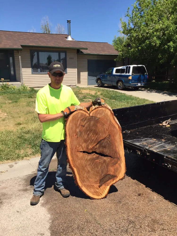 Professional lawn mowing service for homes in Rapid City, SD by Dakota Tree Surgeon