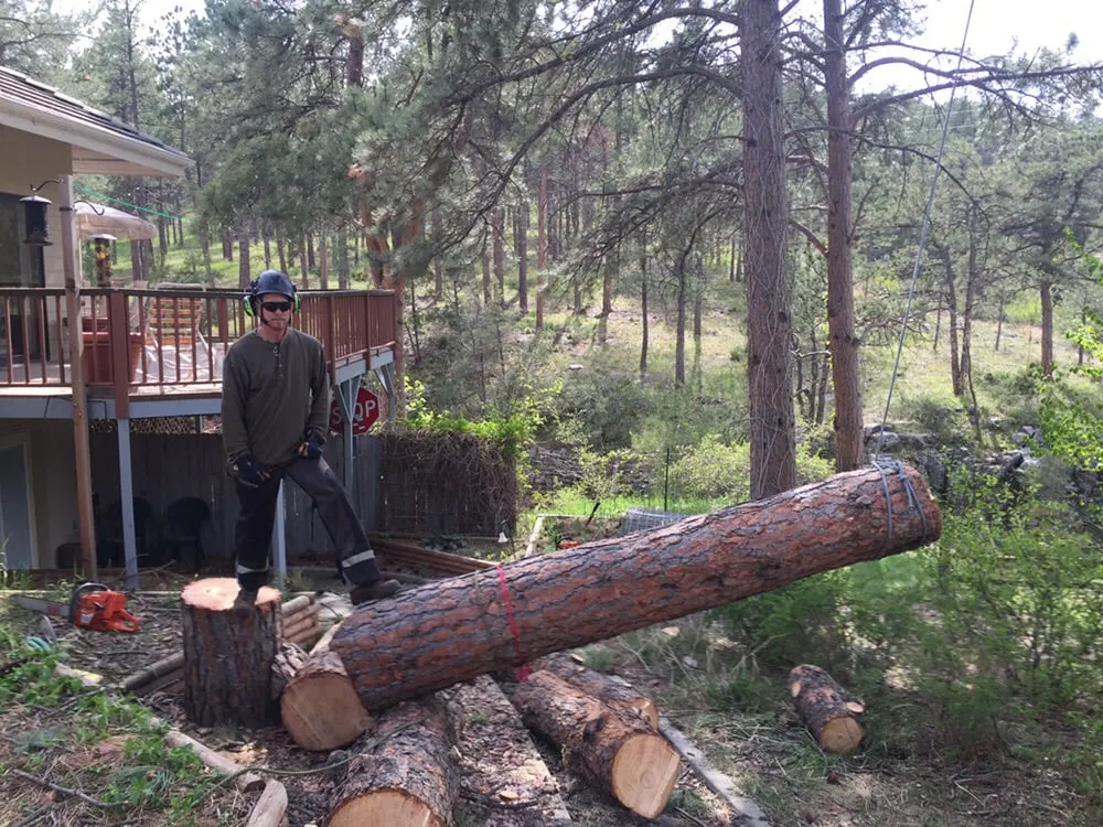 Custom yard cleanup service experts serving Rapid City, SD - Dakota Tree Surgeon