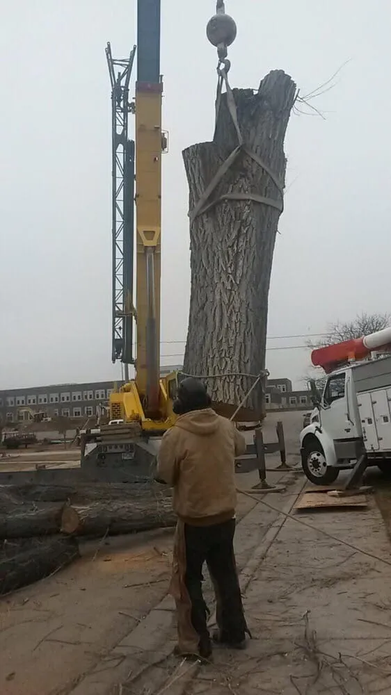 Trusted residential landscaping for year-round maintenance in Rapid City, SD by Dakota Tree Surgeon