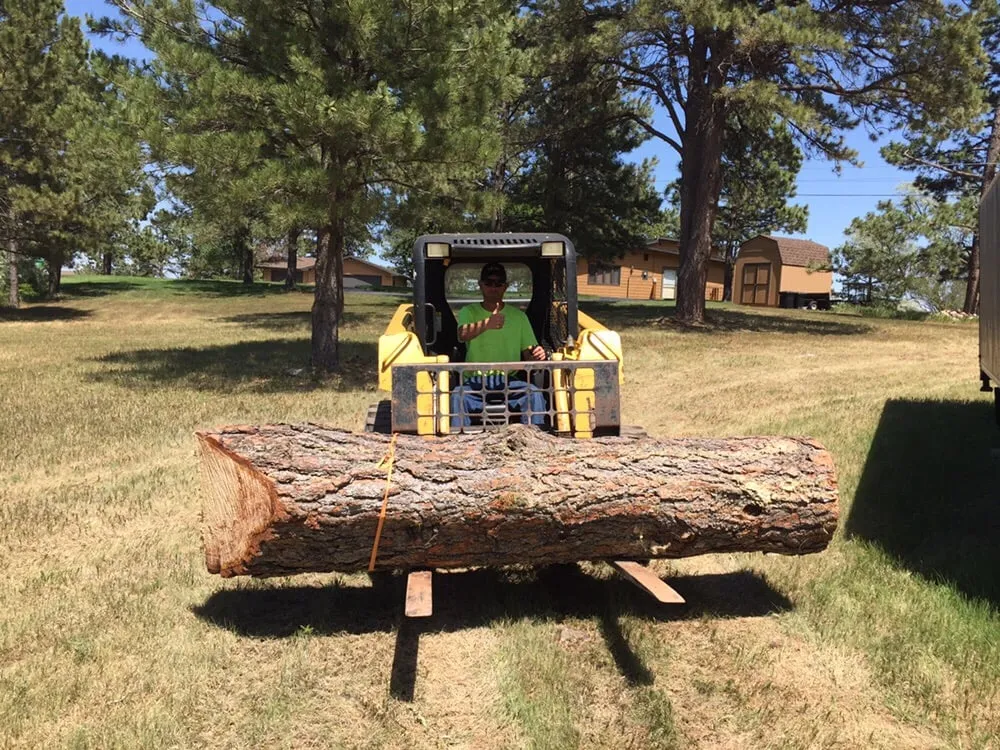 Local lawn care service in Rapid City, SD by Dakota Tree Surgeon