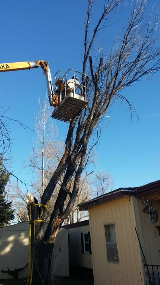 Affordable landscape installation in Rapid City, SD - Dakota Tree Surgeon