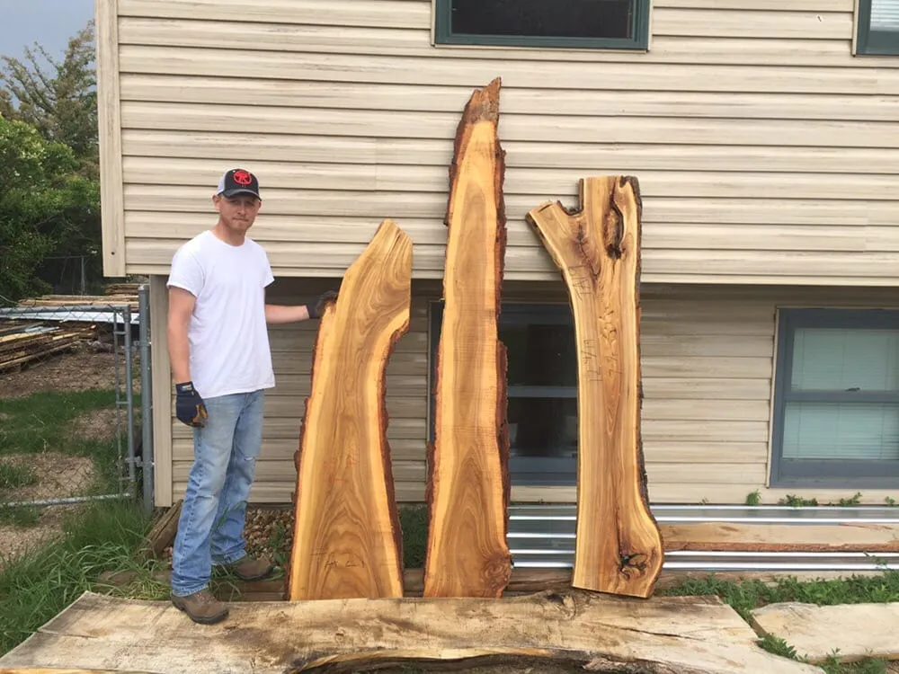 Reliable residential landscaping in Rapid City, SD by Dakota Tree Surgeon