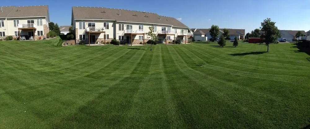 Expert yard cleanup service experts serving Farmington, MN - Dakota Turf