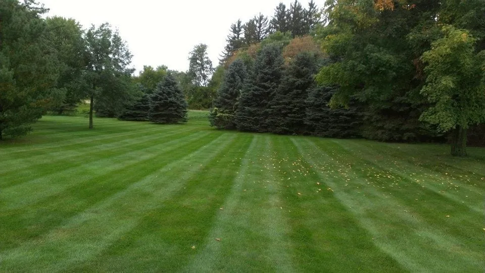 Reliable outdoor landscaping for residential properties in Farmington, MN by Dakota Turf