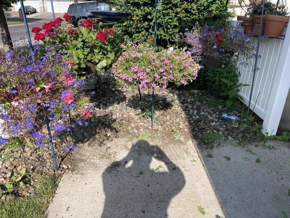 Trusted yard maintenance for homes across Farmington, MN - Dakota Turf