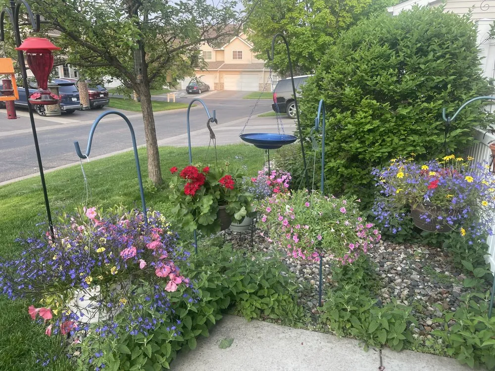 Top-rated residential landscaping for beautiful yards across Farmington, MN - Dakota Turf