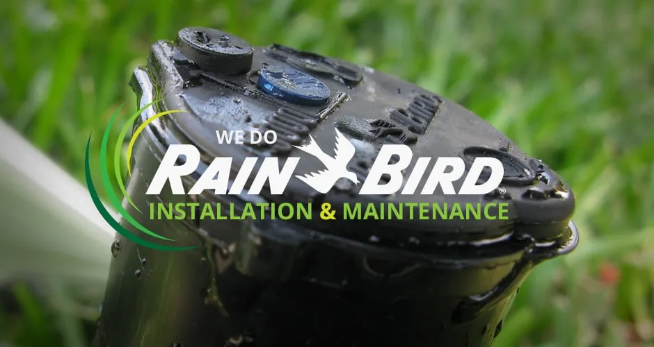 Custom yard cleanup service for residential properties across Sioux Falls, SD - Dakotaland Sod