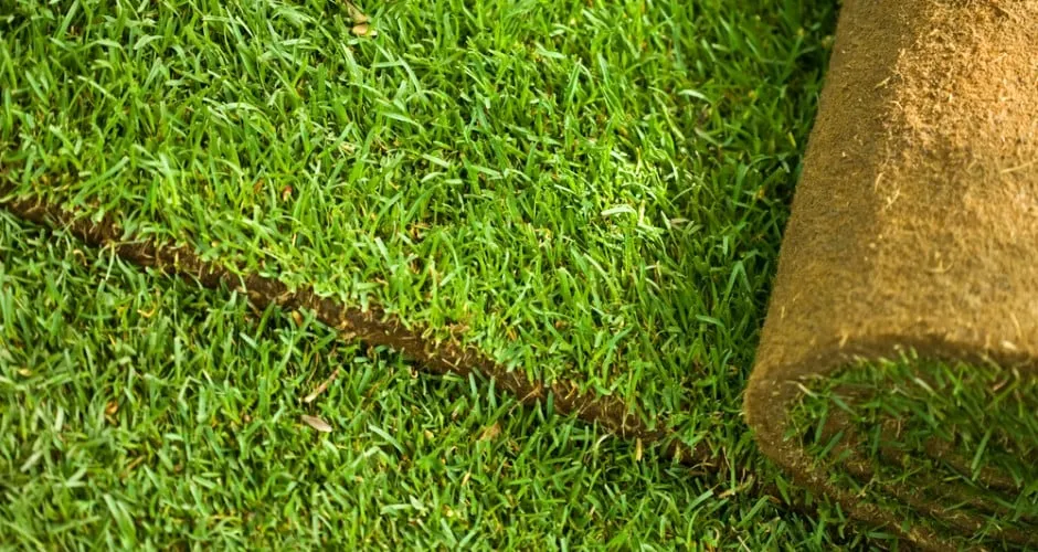 Expert yard maintenance in Sioux Falls, SD by Dakotaland Sod