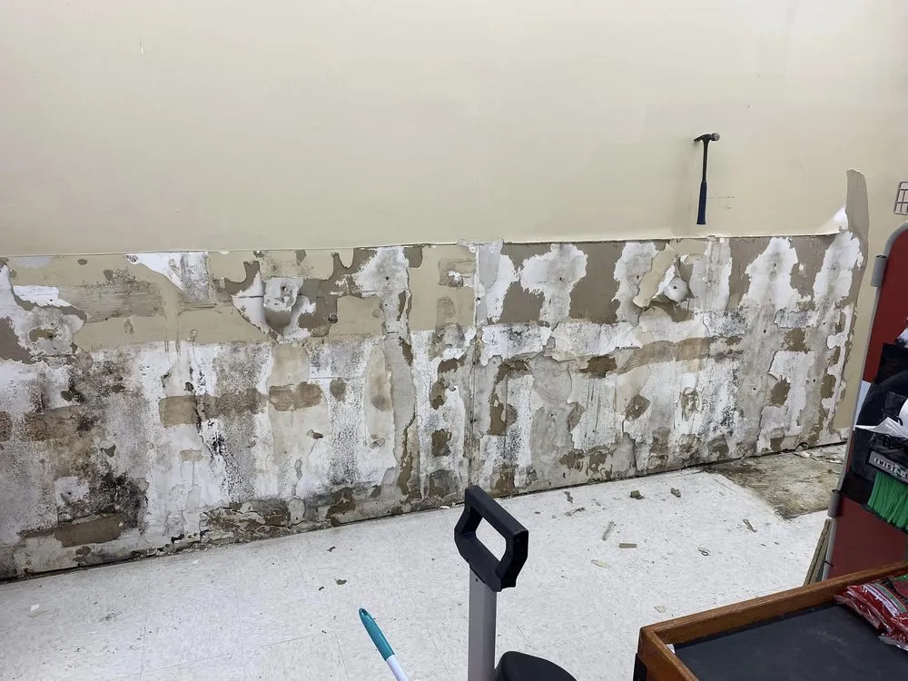 Custom lawn mowing service in Lagrange, IN - Dakota’s Handyman Services And Remodeling