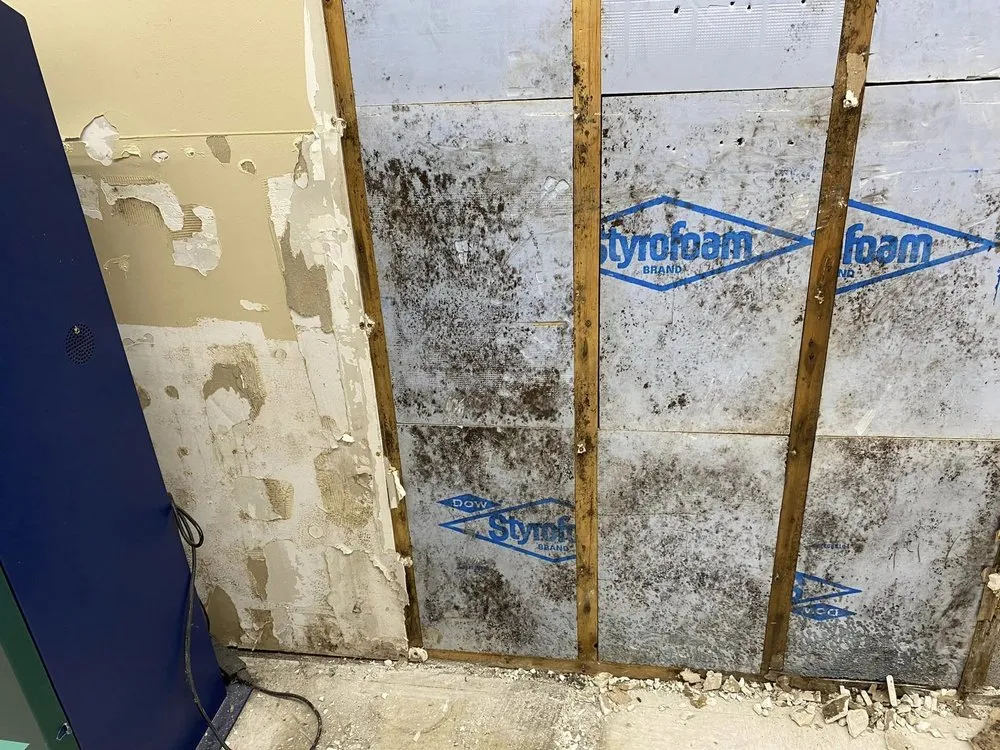 Reliable garden landscaping in Lagrange, IN by Dakota’s Handyman Services And Remodeling