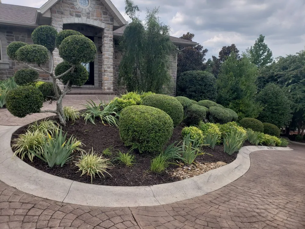 Reliable yard cleanup service near you in Springfield, MO by Dakota's Landscaping