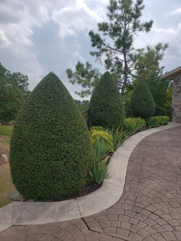 Trusted outdoor landscaping experts serving Springfield, MO - Dakota's Landscaping