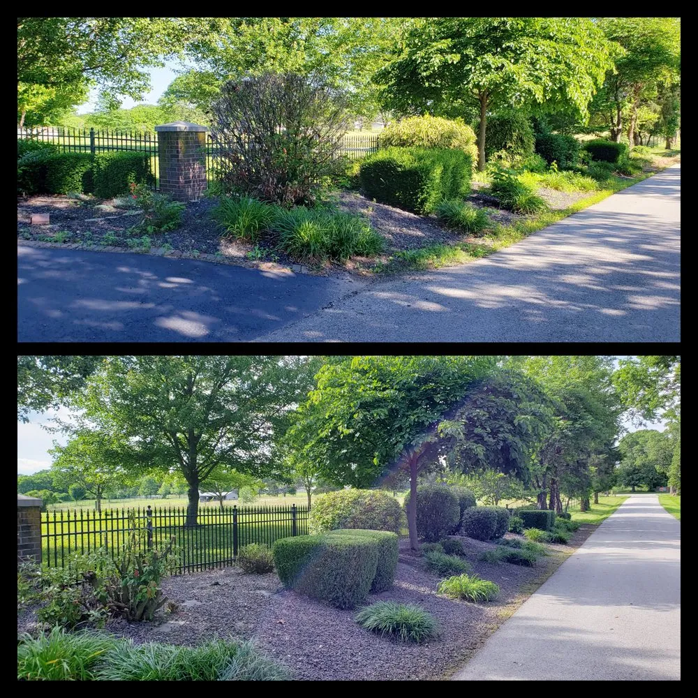 Expert yard cleanup service for homes across Springfield, MO - Dakota's Landscaping