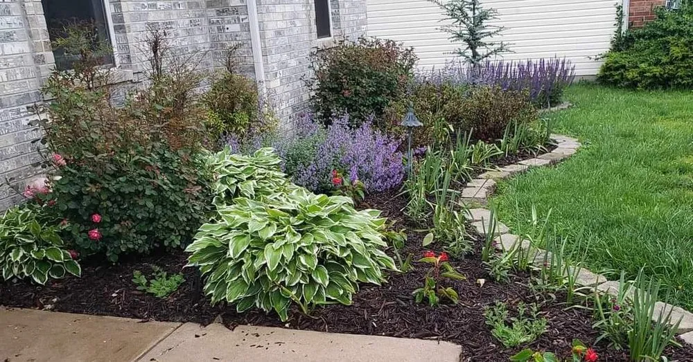 Expert lawn care service experts serving Springfield, MO - Dakota's Landscaping