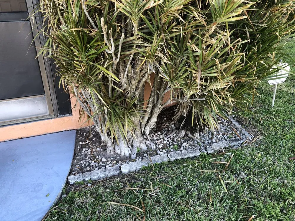 Professional yard maintenance experts serving North Fort Myers, FL - Dakota's Lawn & Tree Services