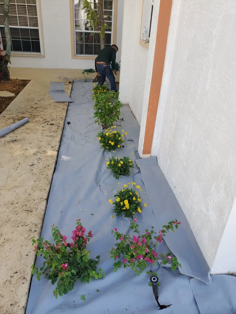 Local outdoor landscaping near you in North Fort Myers, FL by Dakota's Lawn & Tree Services