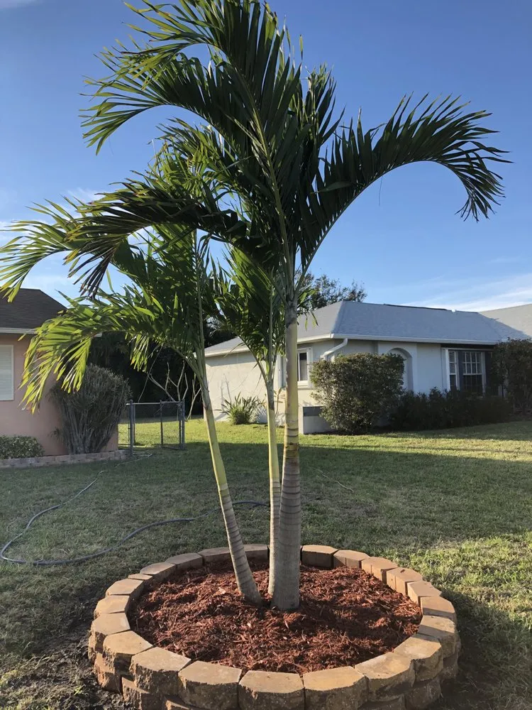 Top-rated residential landscaping experts serving North Fort Myers, FL - Dakota's Lawn & Tree Services