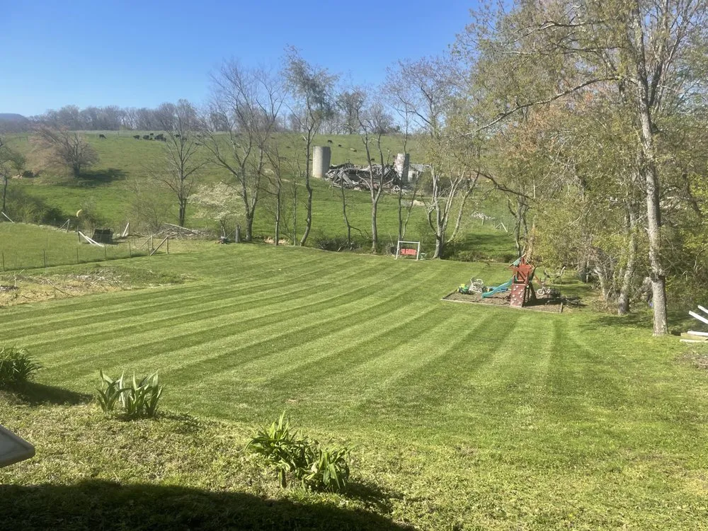 Expert lawn care service for homes in Waynesville, NC by Dakotas Lawn Care and Junk Removal