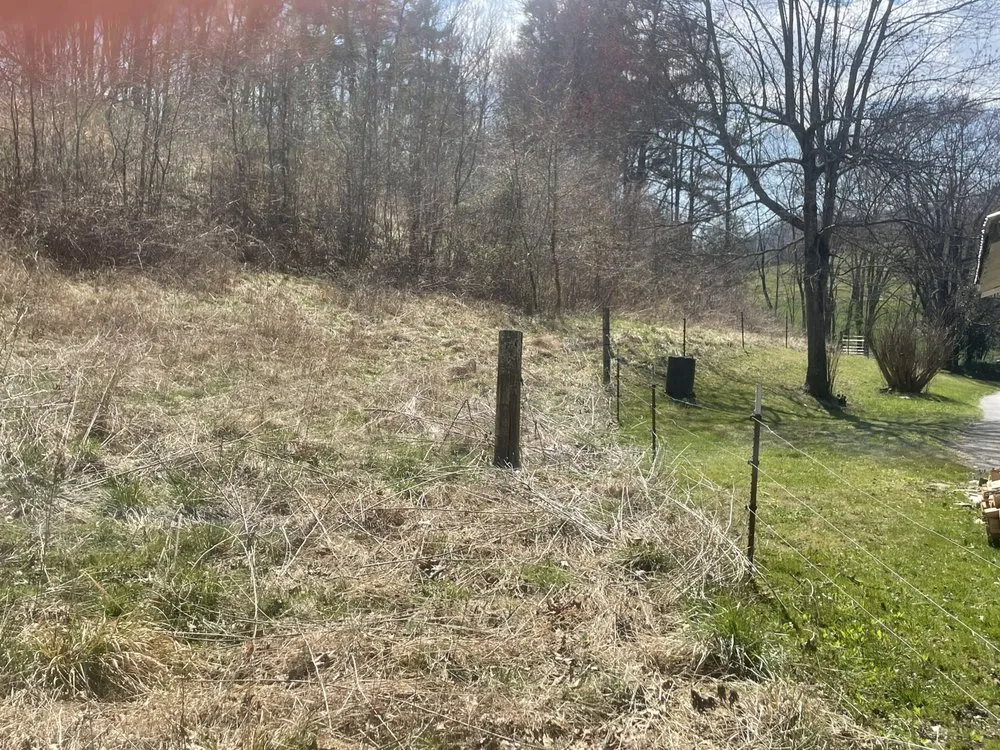 Custom lawn care service experts serving Waynesville, NC - Dakotas Lawn Care and Junk Removal