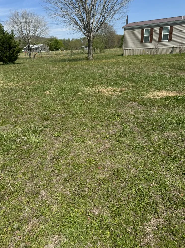 Reliable yard cleanup service in Scottsboro, AL by Dakota’s Lawn Care