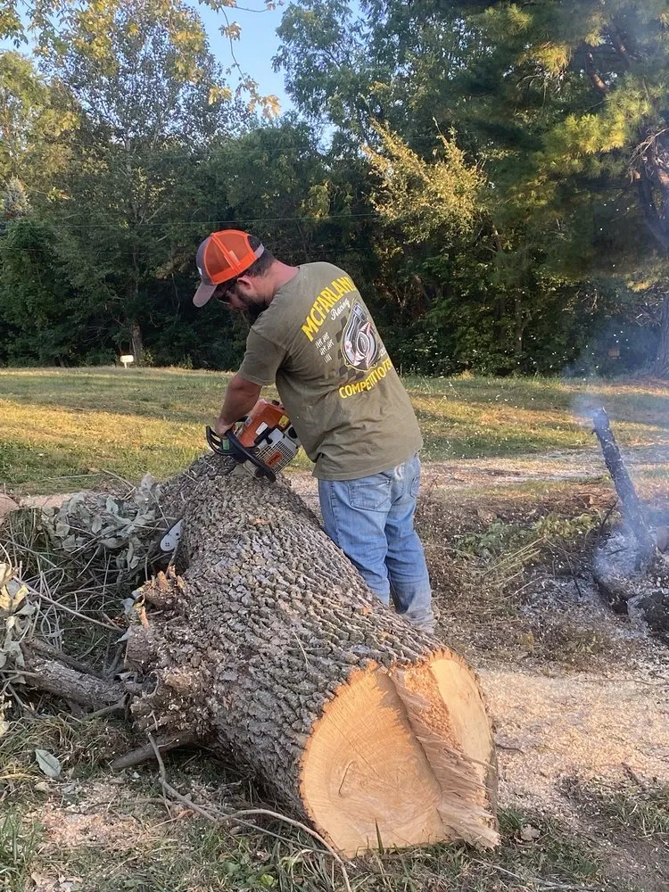 Local lawn care service experts serving Jacksonville, IL - Dakotas Tree Removal
