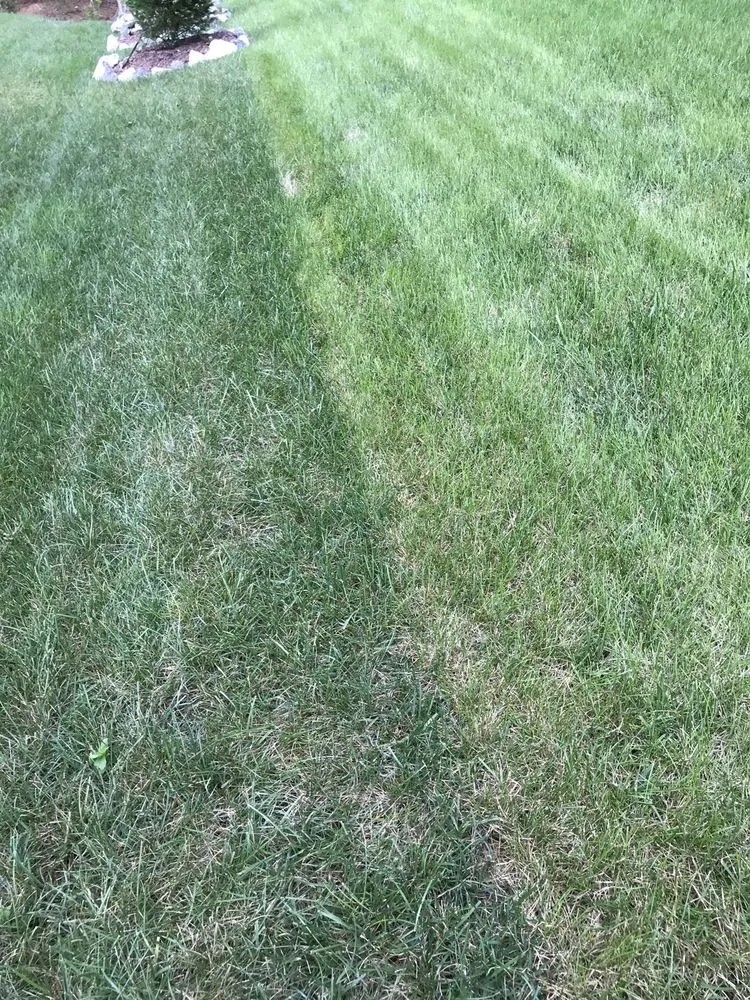 Trusted garden landscaping near you in Mooresville, NC by DalaCasa Landscape Management