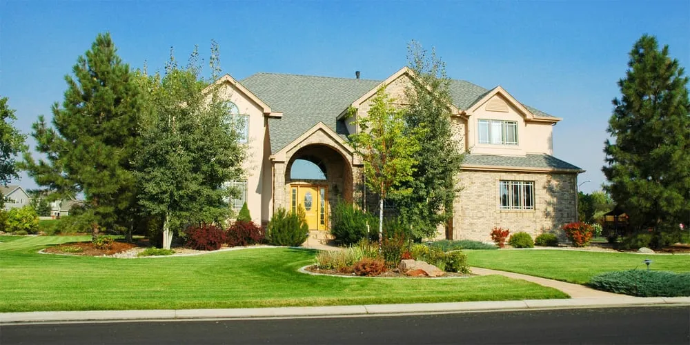 Professional yard cleanup service experts serving Orlando, FL - Dalamours Lawn Care