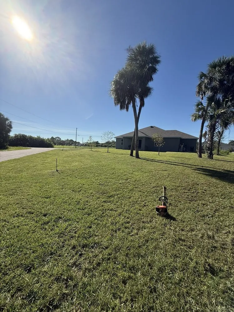 Custom landscaping services in Pt Charlotte, FL - Dalas Lawn Service