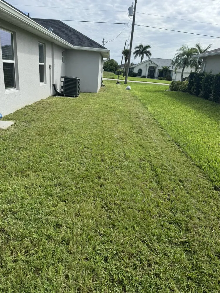 Professional yard cleanup service experts serving Pt Charlotte, FL - Dalas Lawn Service