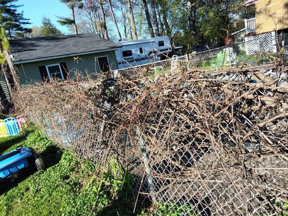 Custom lawn care service near you across Swanton, VT - Dale and Sons