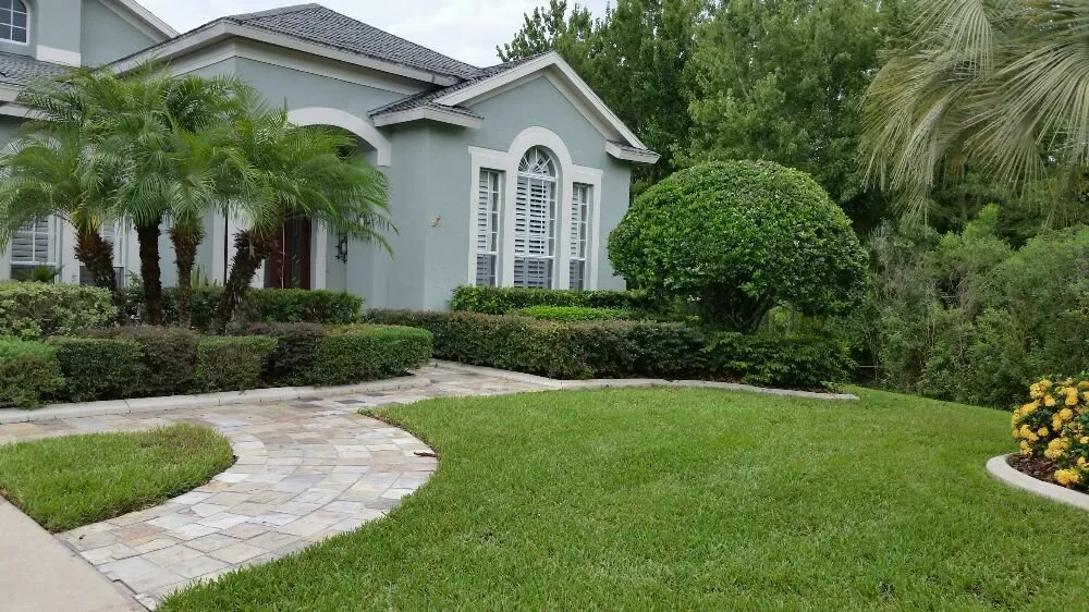 Expert outdoor landscaping for year-round maintenance across Wesley Chapel, FL - Dale Complete Landscaping