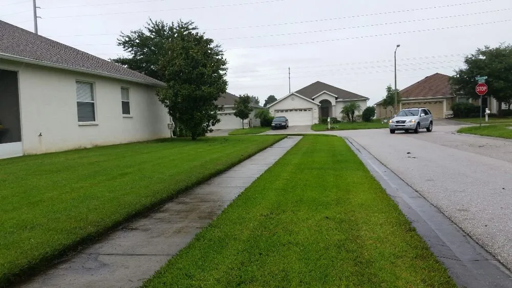 Reliable yard maintenance in Wesley Chapel, FL - Dale Complete Landscaping