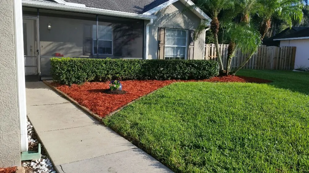 Custom landscape installation for residential properties in Wesley Chapel, FL by Dale Complete Landscaping