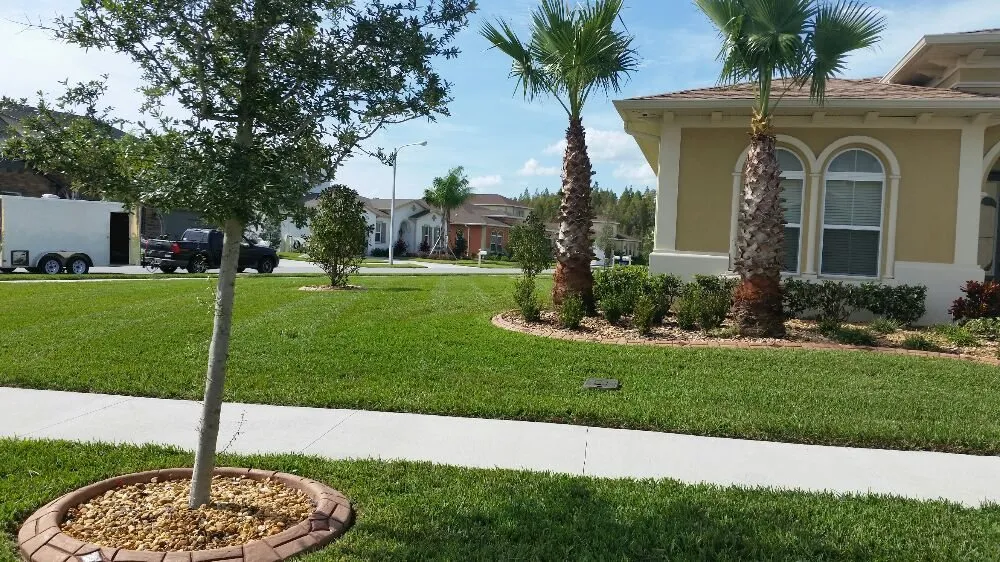 Affordable landscape installation in Wesley Chapel, FL by Dale Complete Landscaping