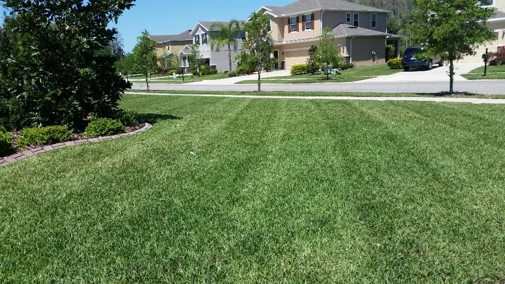 Local landscaping services experts serving Wesley Chapel, FL - Dale Complete Landscaping