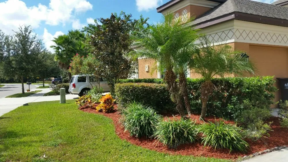 Top-rated outdoor landscaping in Wesley Chapel, FL - Dale Complete Landscaping