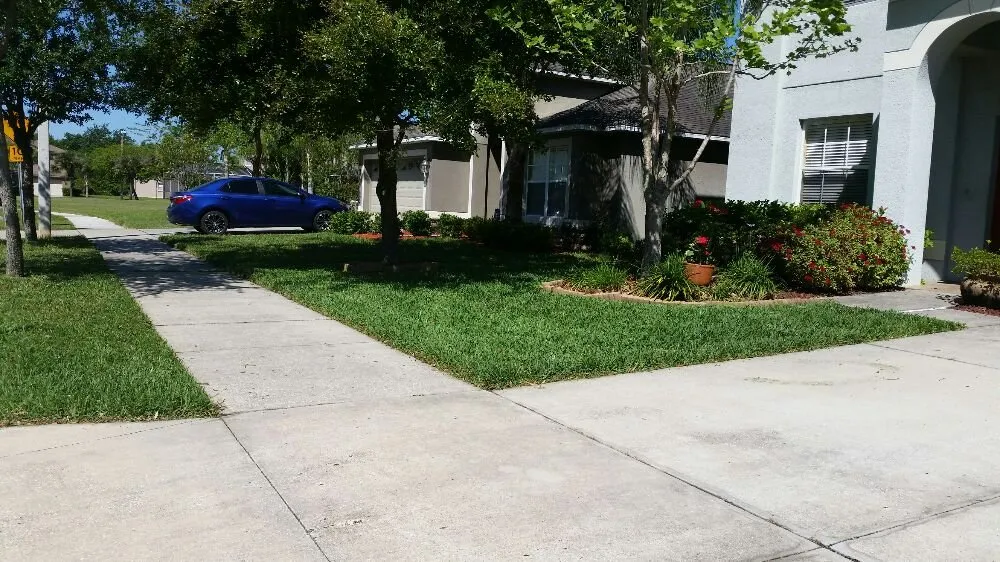 Professional landscape design for homes in Wesley Chapel, FL by Dale Complete Landscaping