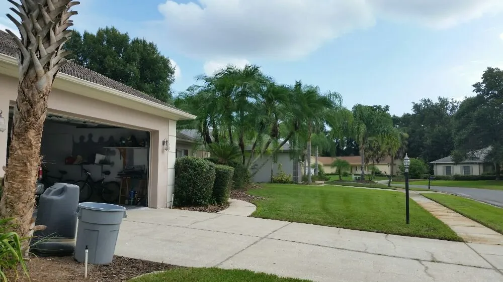 Affordable yard maintenance for beautiful yards across Wesley Chapel, FL - Dale Complete Landscaping